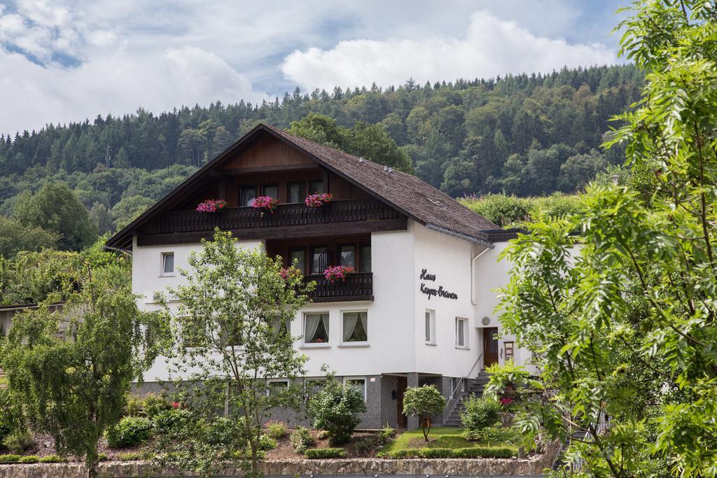 Haus Kesper-Brunen Hotel Willingen  Exterior foto