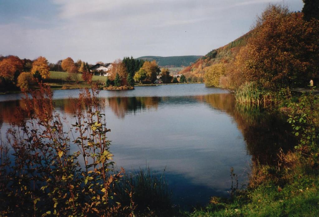 Haus Kesper-Brunen Hotel Willingen  Exterior foto
